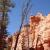 Inside Bryce Canyon